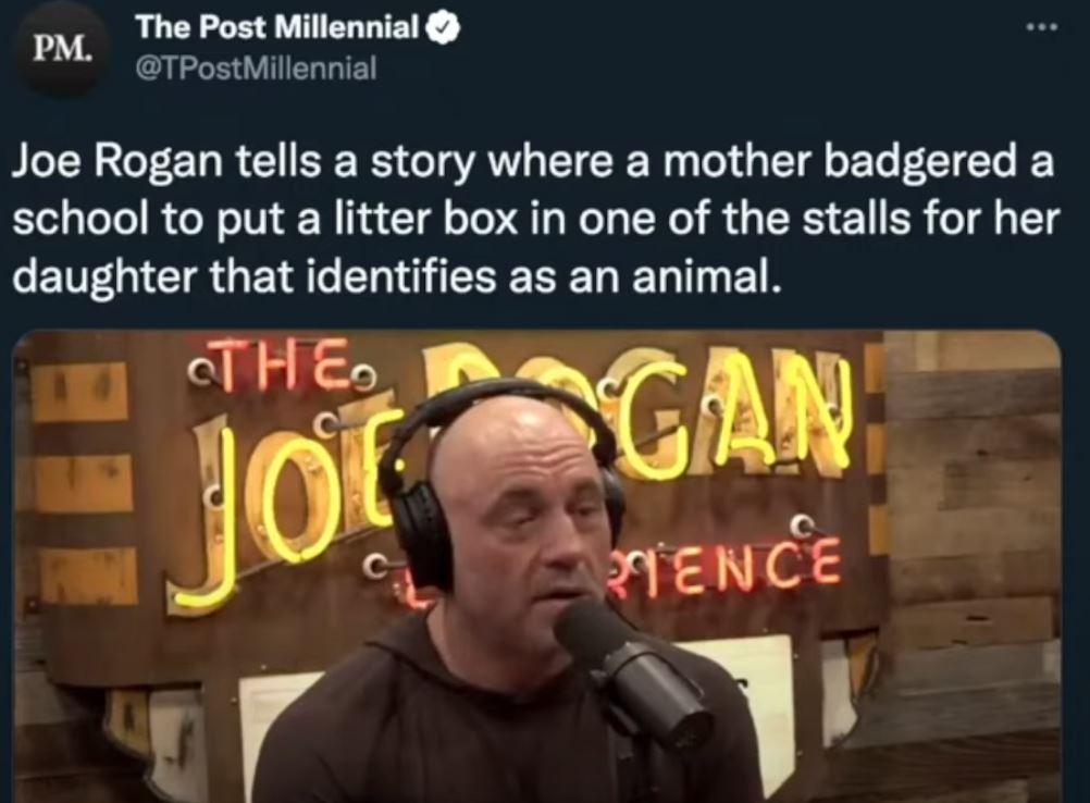 The Post Millennial o TPostMillennial BLERGTEURC SR IR EICE R GG T EL EEIER Y school to put a litter box in one of the stalls for her CENEGIERGENRGELIGIEEEEE N EL I ET Jgi