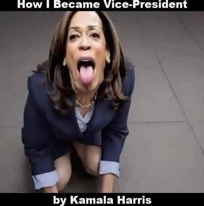 How I Became Vice-President
by Kamala Harris