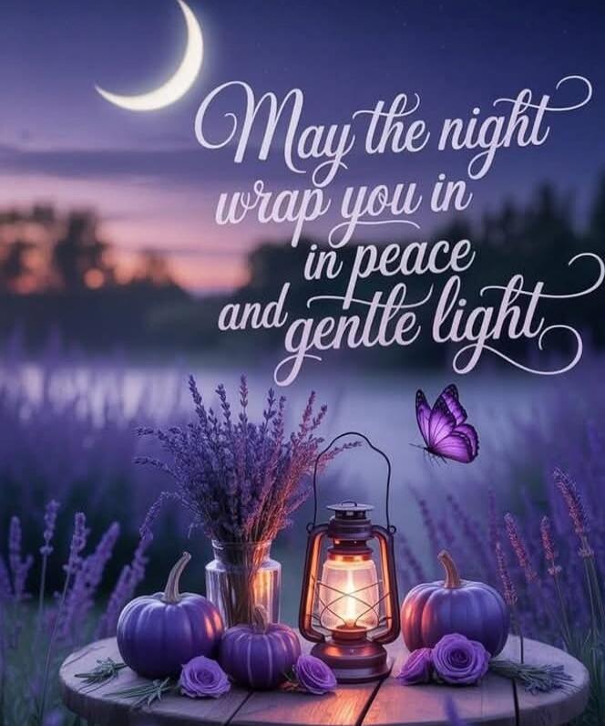 May the night wrap you in peace and gentle light