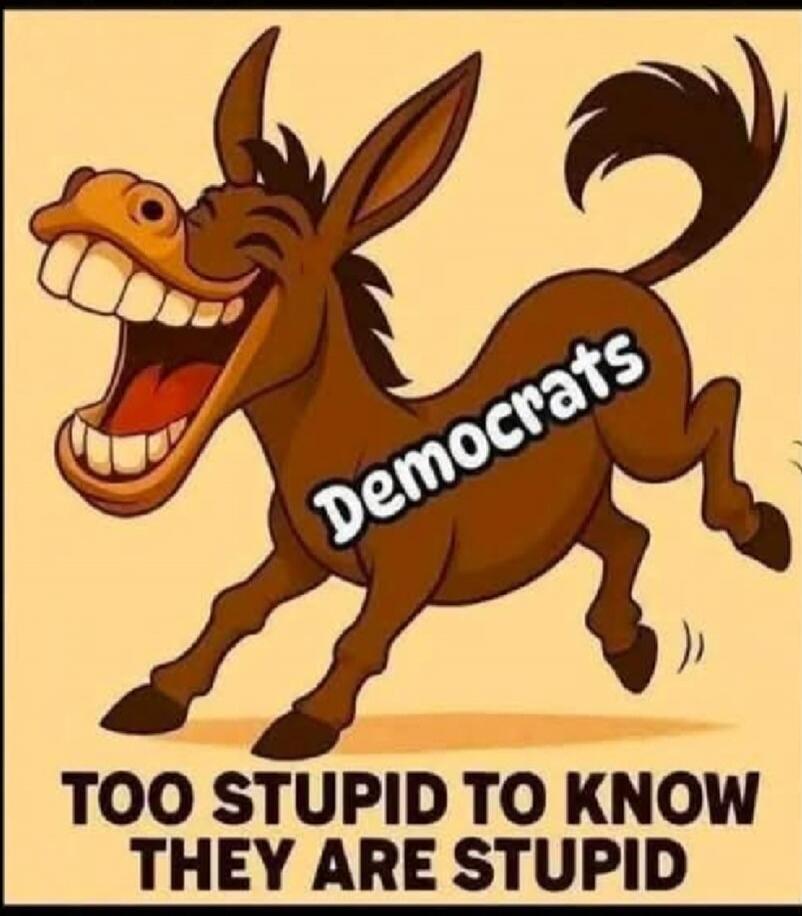 Democrats TOO STUPID TO KNOW THEY ARE STUPID