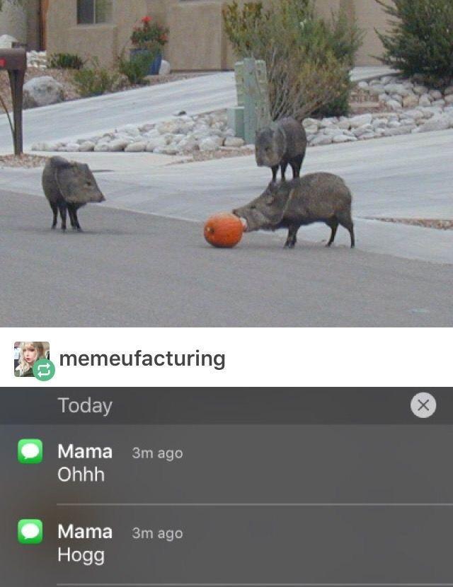 i memeufacturing Today L VETE Ty oLs131 Mama 3mago aelee