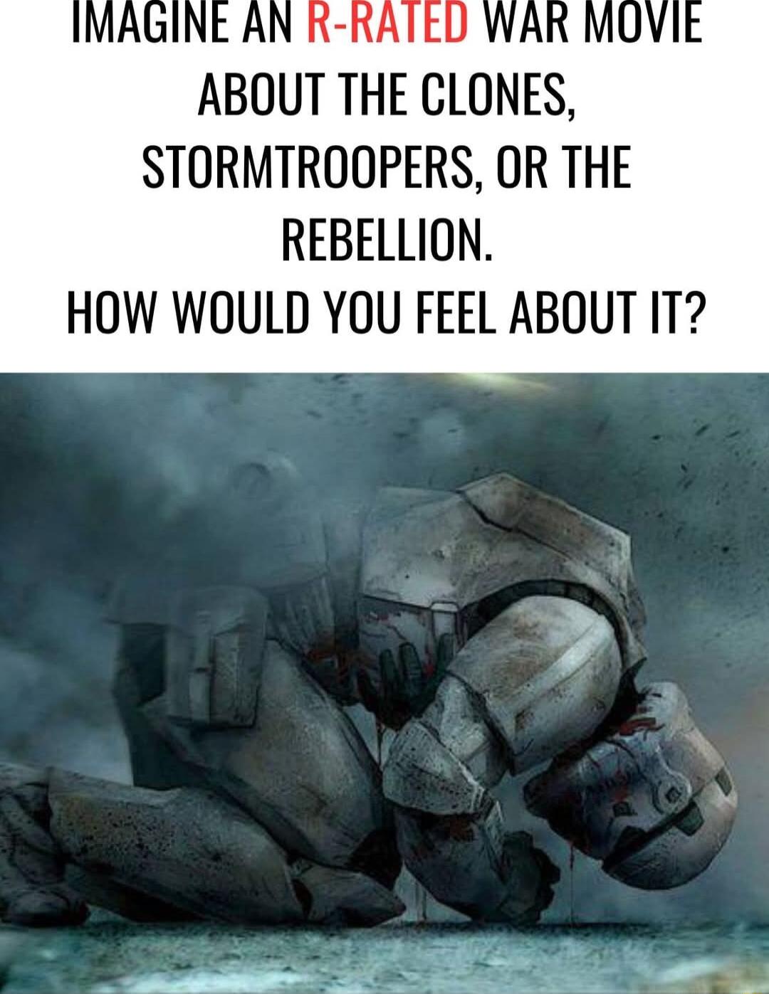 ABOUT THE CLONES STORMTROOPERS OR THE REBELLION HOW WOULD YOU FEEL ABOUT IT