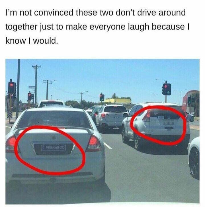 I'm not convinced these two don't drive around together just to make everyone laugh because I would.