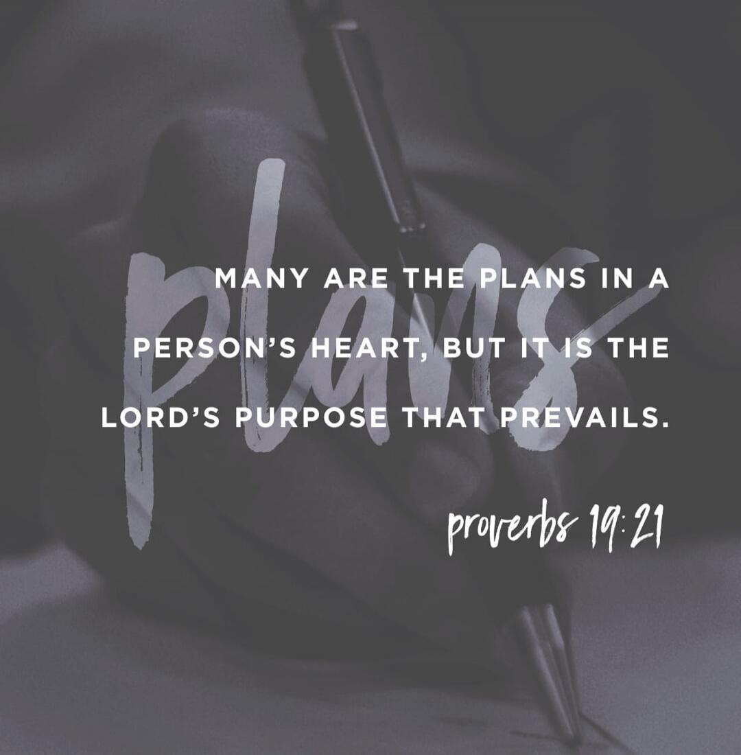 MANY ARE THE PLANS IN A PERSON'S HEART, BUT IT IS THE LORD'S PURPOSE THAT PREVAILS. proverbs 19:21