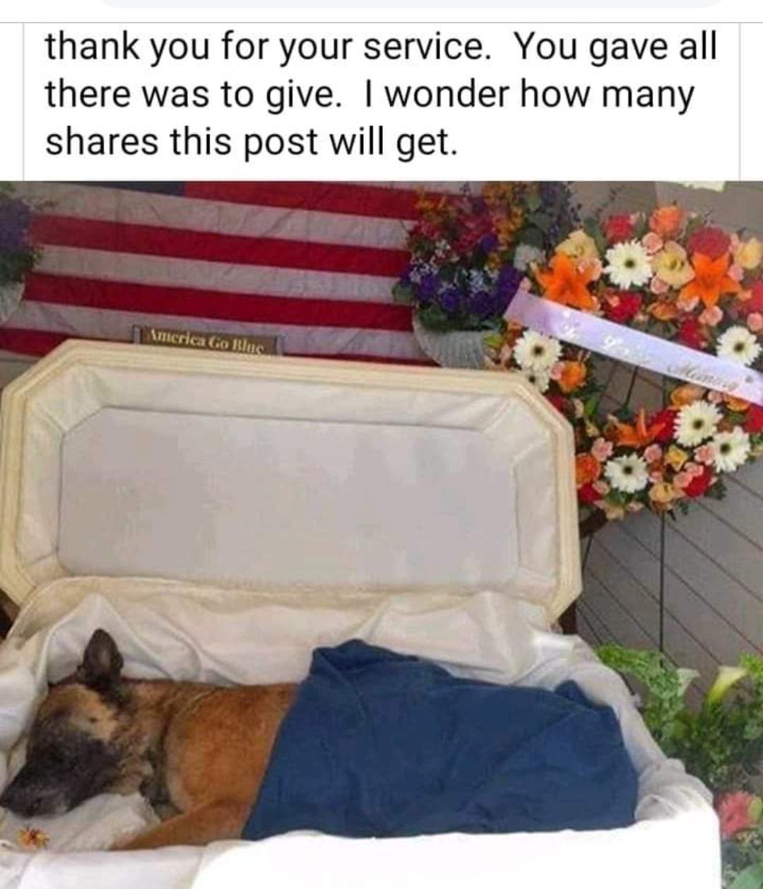 thank you for your service You gave all there was to give wonder how many shares this post will get