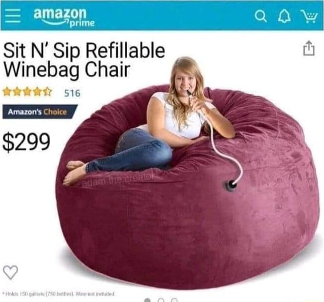 amazon Sit N Sip Refillable Winebag Chair