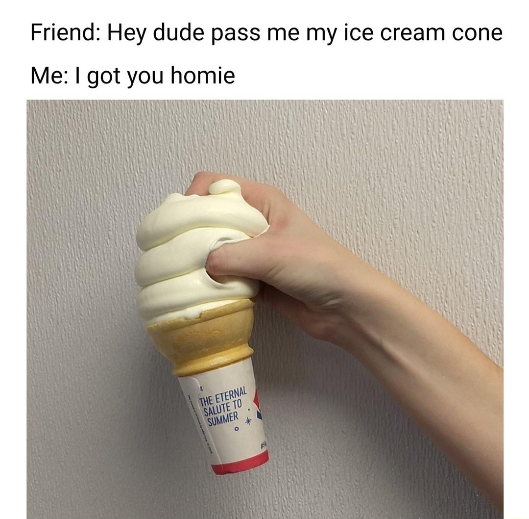 Friend Hey dude pass me my ice cream cone Me got you homie