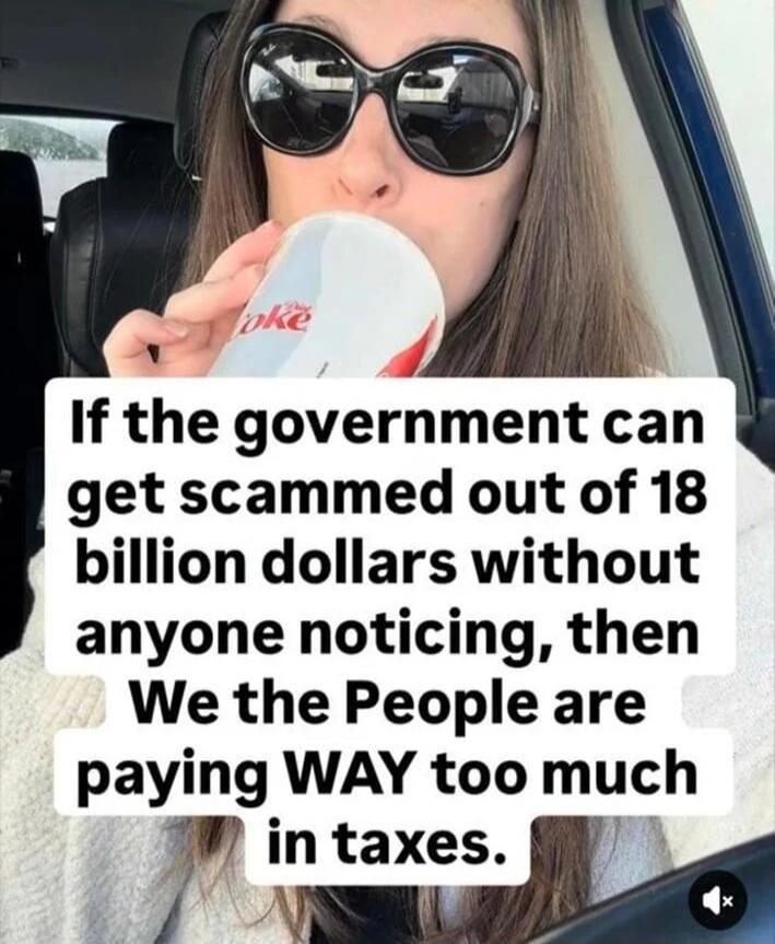 If the government can get scammed out of 18 billion dollars without anyone noticing, then We the People are paying WAY too much in taxes.