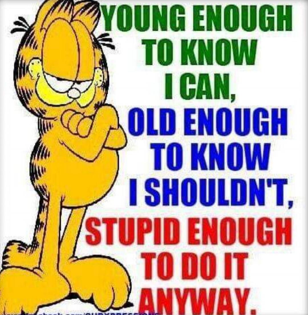 YOUNG ENOUGH TO KNOW I CAN, OLD ENOUGH TO KNOW I SHOULDN'T, STUPID ENOUGH TO DO IT ANYWAY.