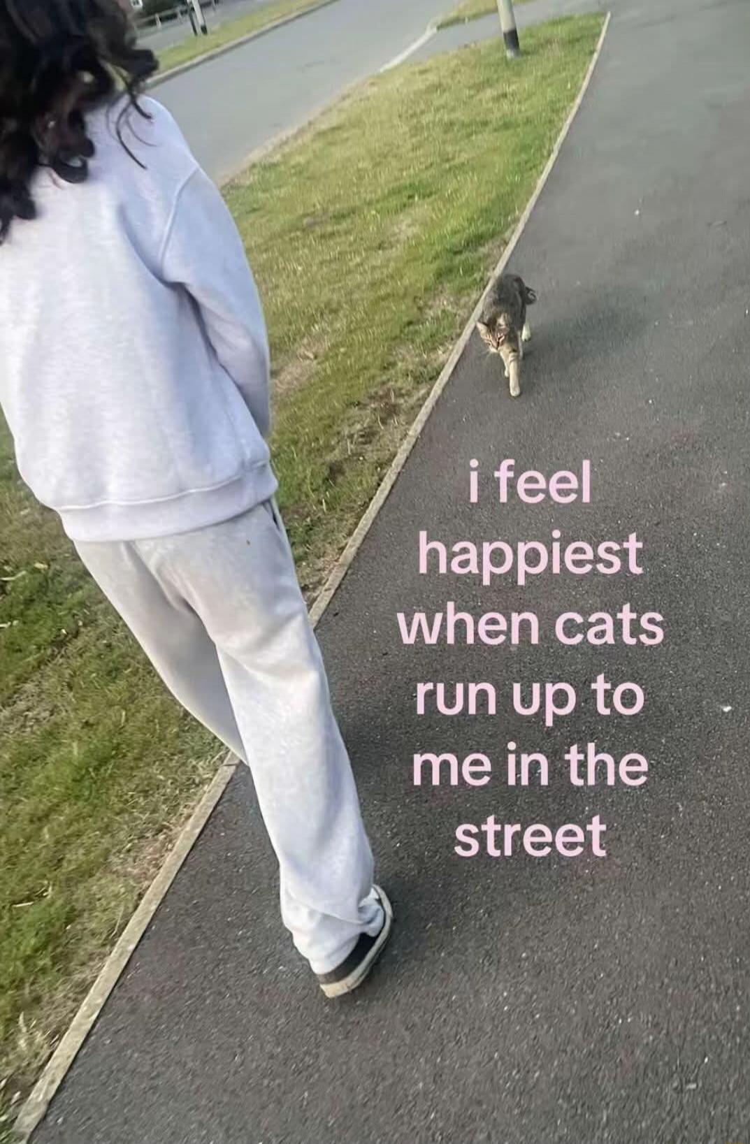 i feel happiest when cats run up to me in the street
