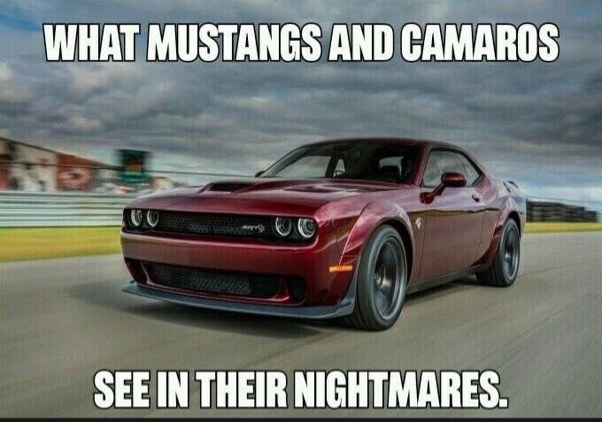 WHAT MUSTANGS AND CAMAROS SEE IN THEIR NIGHTMARES.