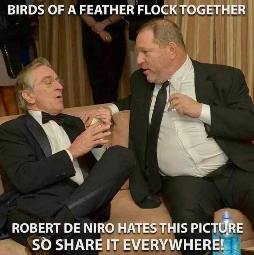 BIRDS OF A FEATHER FLOCK TOGETHER
ROBERT DE NIRO HATES THIS PICTURE SO SHARE IT EVERYWHERE!
