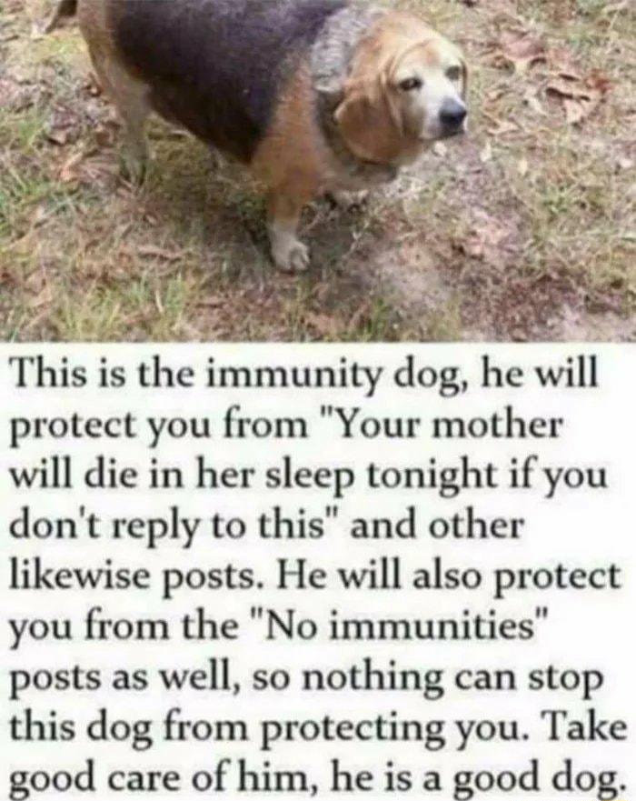 T Teaioe This is the immunity dog he will protect you from Your mother will die in her sleep tonight if you dont reply to this and other likewise posts He will also protect you from the No immunities posts as well so nothing can stop this dog from protecting you Take good care of him he is a good dog