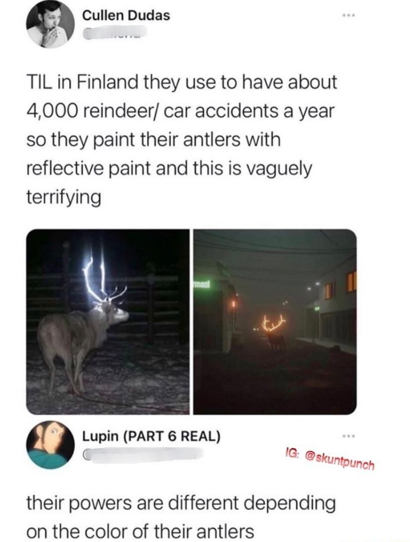 Cullen Dudas TIL in Finland they use to have about 4000 reindeer car accidents a year so they paint their antlers with reflective paint and this is vaguely terrifying O Lupin PART 6 REAL their powers are different depending on the color of their antlers