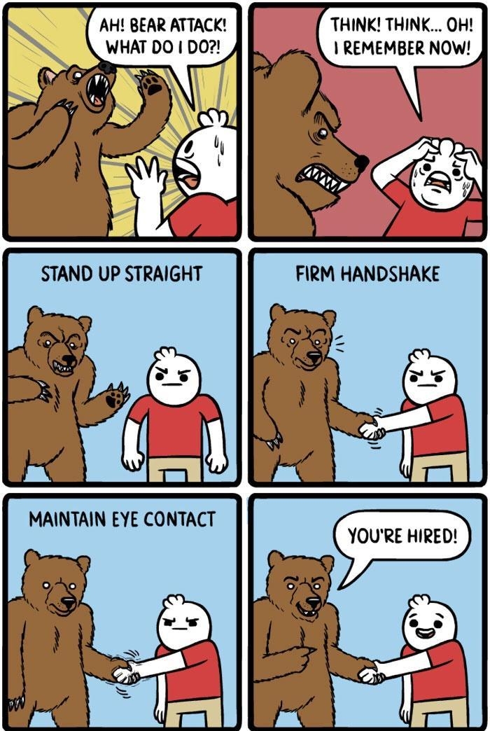 AH BEAR ATTACK THINK THINK OH WHAT DO DO REMEMBER NOW