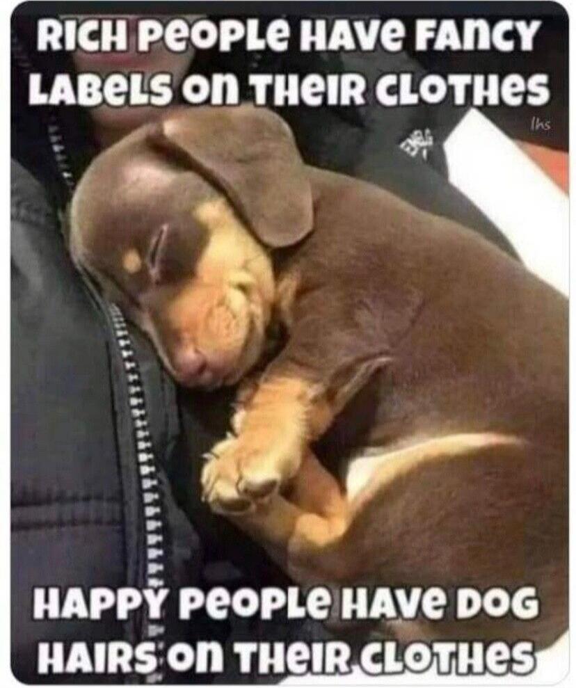 RICH PEOPLE HAVE FANCY LABELS ON THEIR CLOTHES
HAPPY PEOPLE HAVE DOG HAIRS ON THEIR CLOTHES