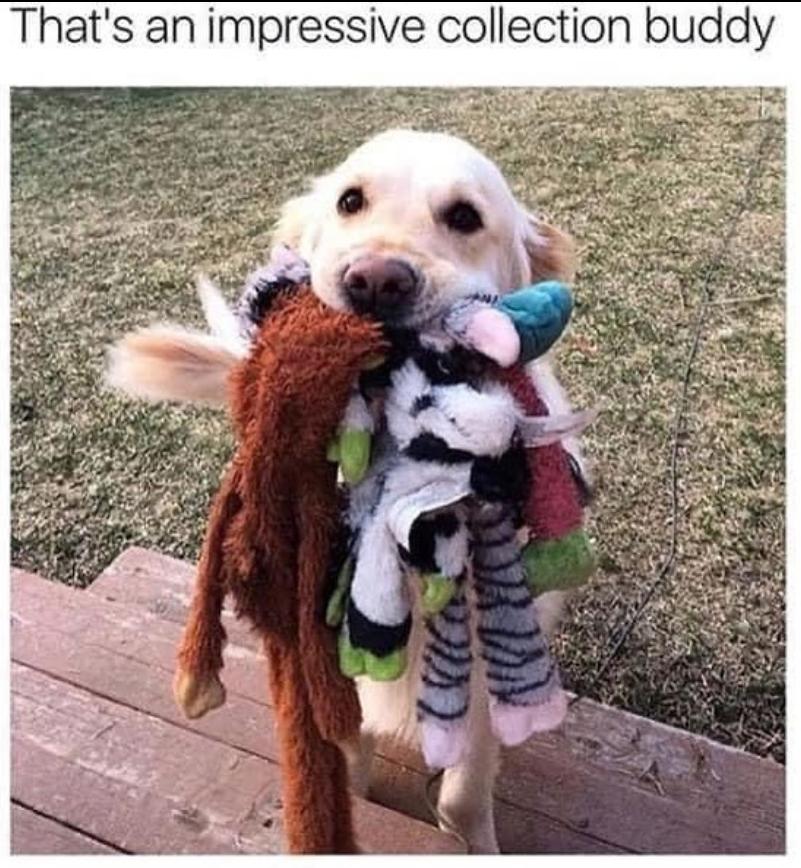 Thats an impressive collection buddy