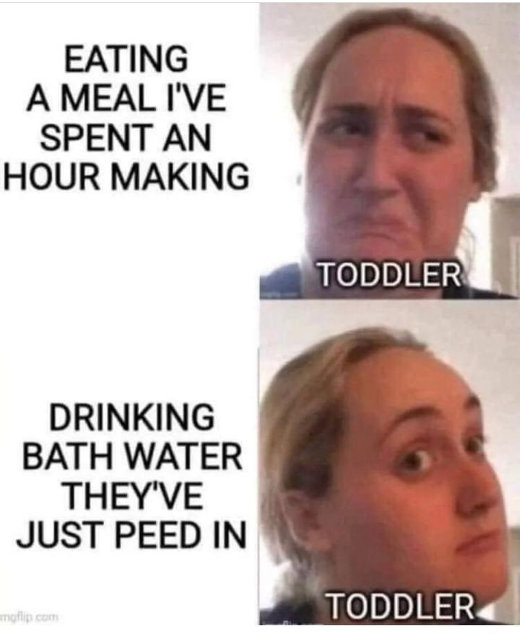 EATING A MEAL IVE SPENT AN HOUR MAKING DRINKING BATH WATER THEYVE JUST PEED IN