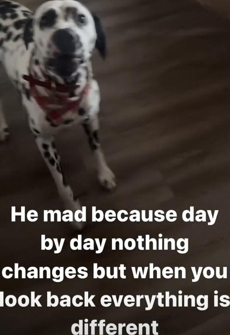 N BT LI TTEEYC VT by day nothing changes but when you look back everything is different