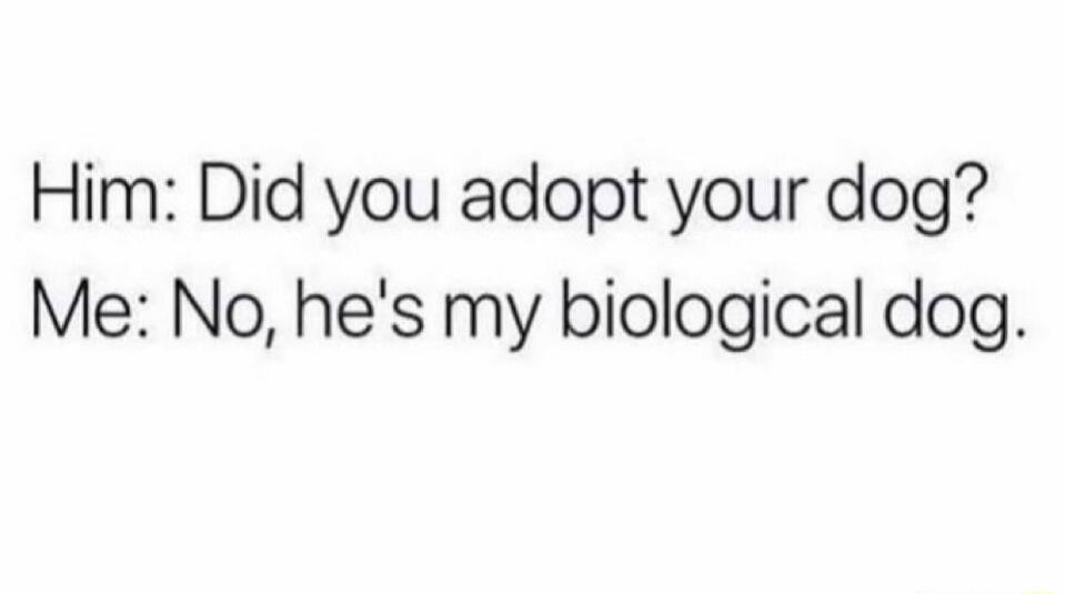 Him: Did you adopt your dog? Me: No, he's my biological dog.