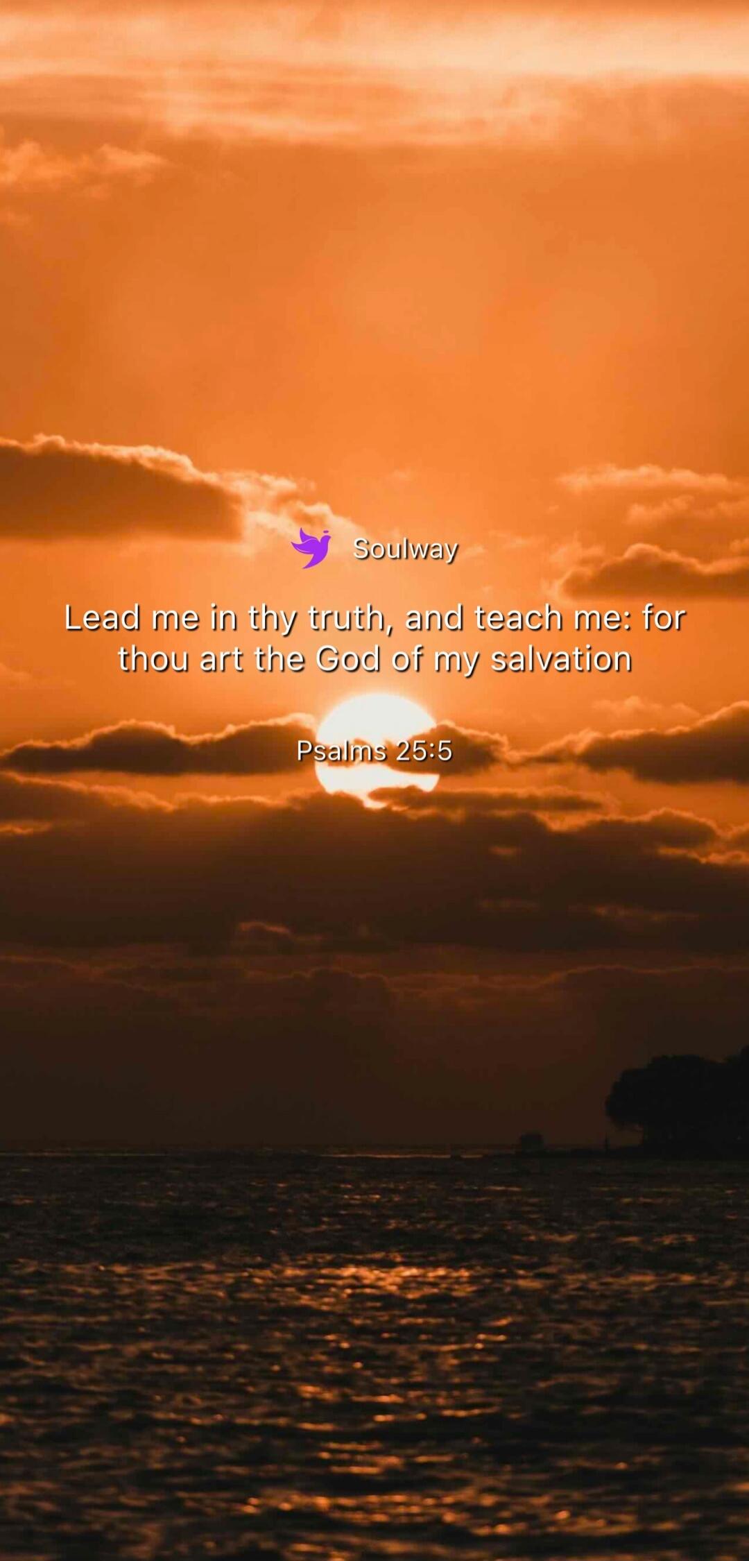 Soulway Lead me in thy truth, and teach me: for thou art the God of my salvation Psalms 25:5