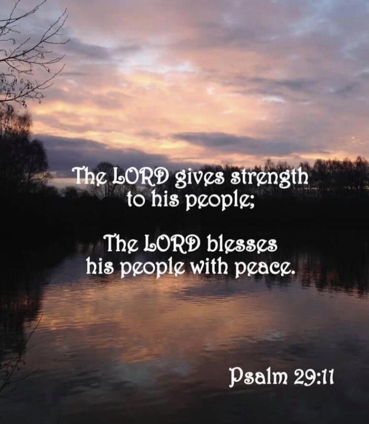 The LORD gives strength to his people; The LORD blesses his people with peace. Psalm 29:11