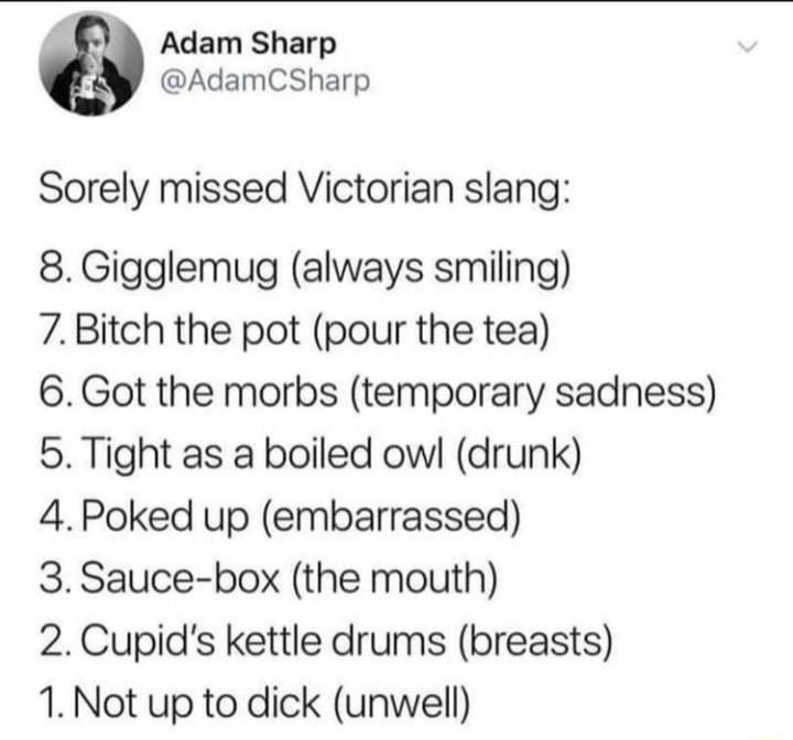 Adam Sharp AdamCSharp Sorely missed Victorian slang 8 Gigglemug always smiling 7Bitch the pot pour the tea 6 Got the morbs temporary sadness 5 Tight as a boiled owl drunk 4Poked up embarrassed 3 Sauce box the mouth 2 Cupids kettle drums breasts 1 Not up to dick unwell