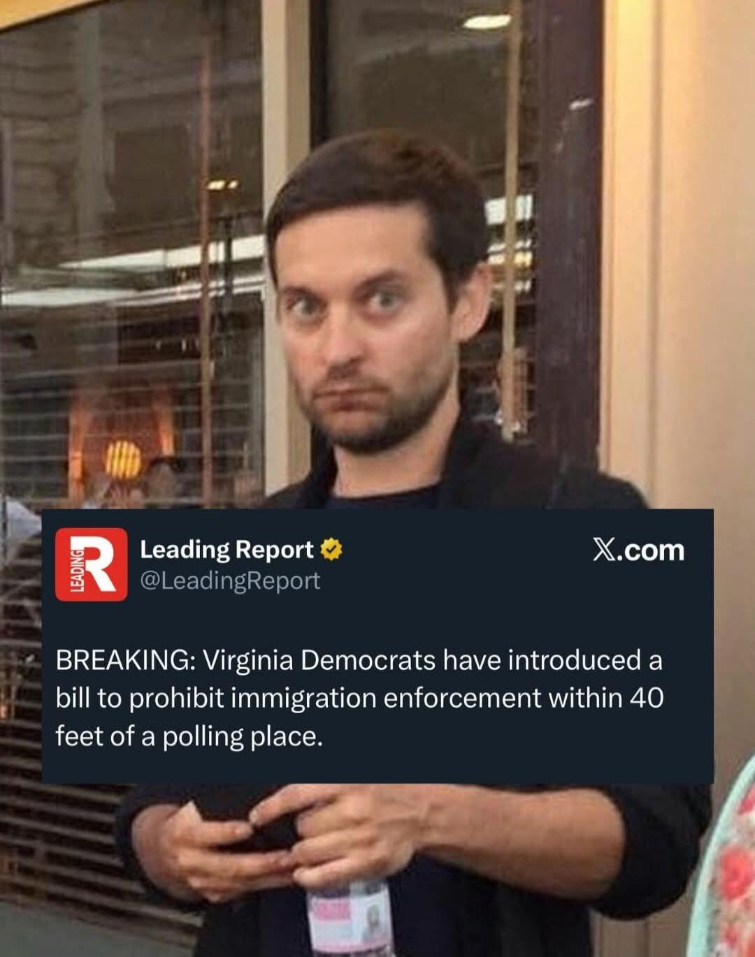 BREAKING: Virginia Democrats have introduced a bill to prohibit immigration enforcement within 40 feet of a polling place.