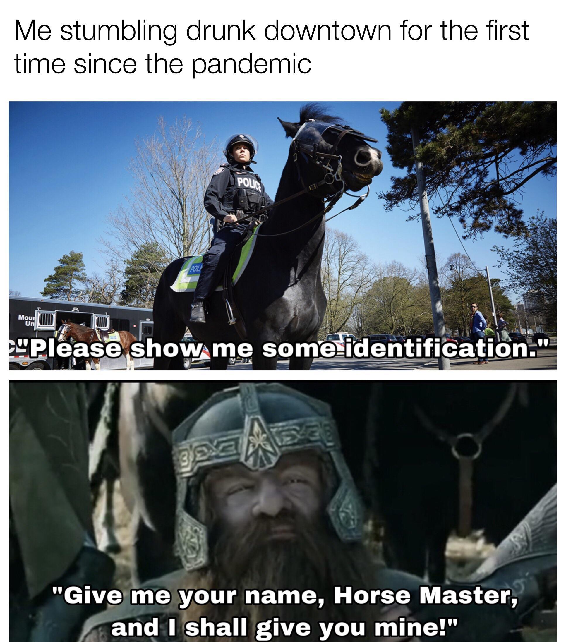 Me stumbling drunk downtown for the first time since the pandemic Give me your name Horse Master and shall give you mine