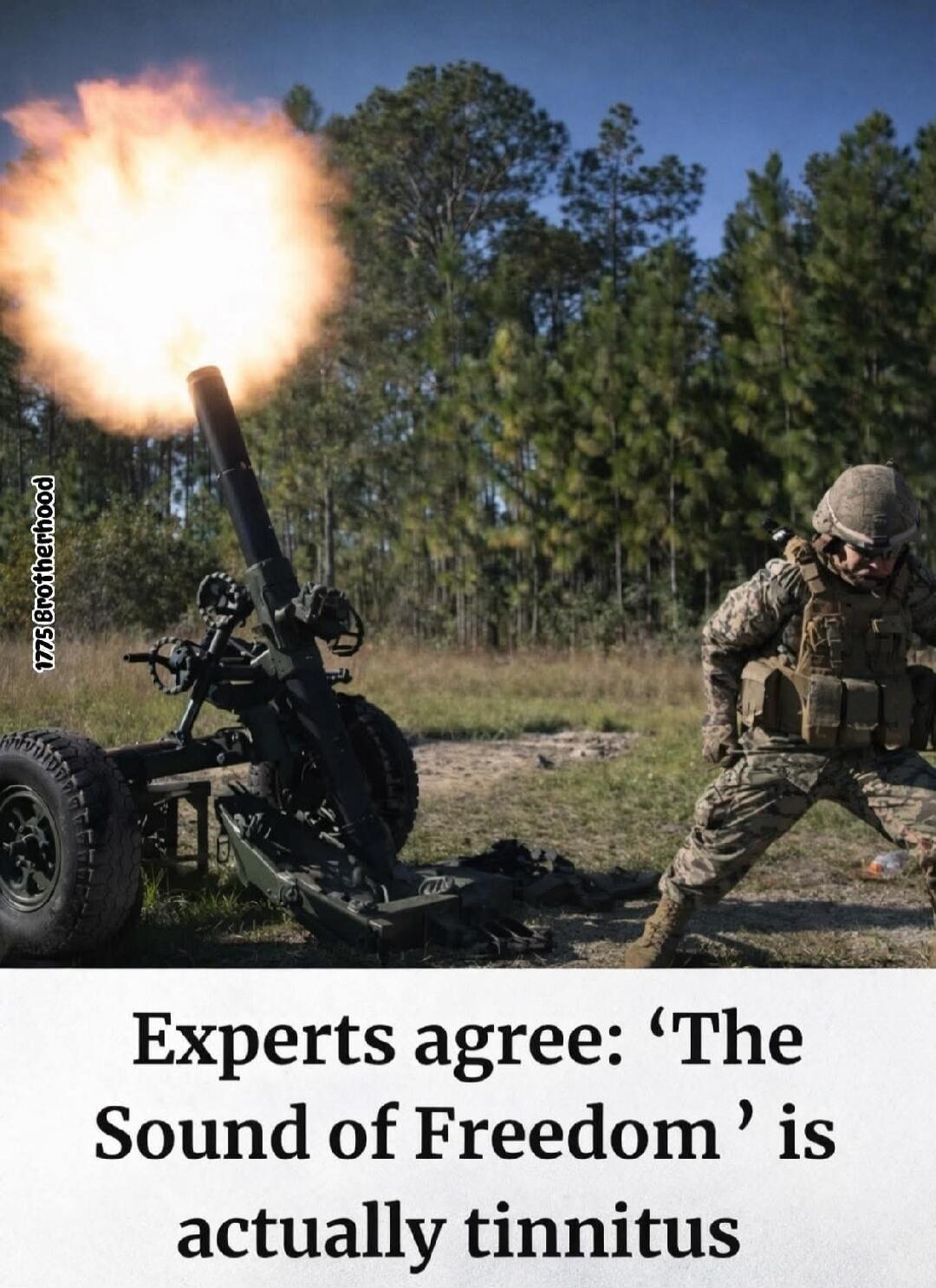 Experts agree: ‘The Sound of Freedom’ is actually tinnitus