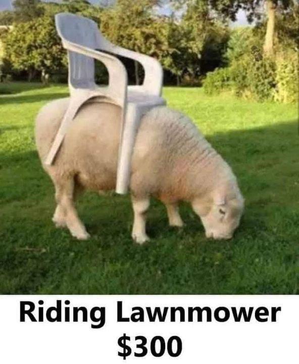 Riding Lawnmower 300