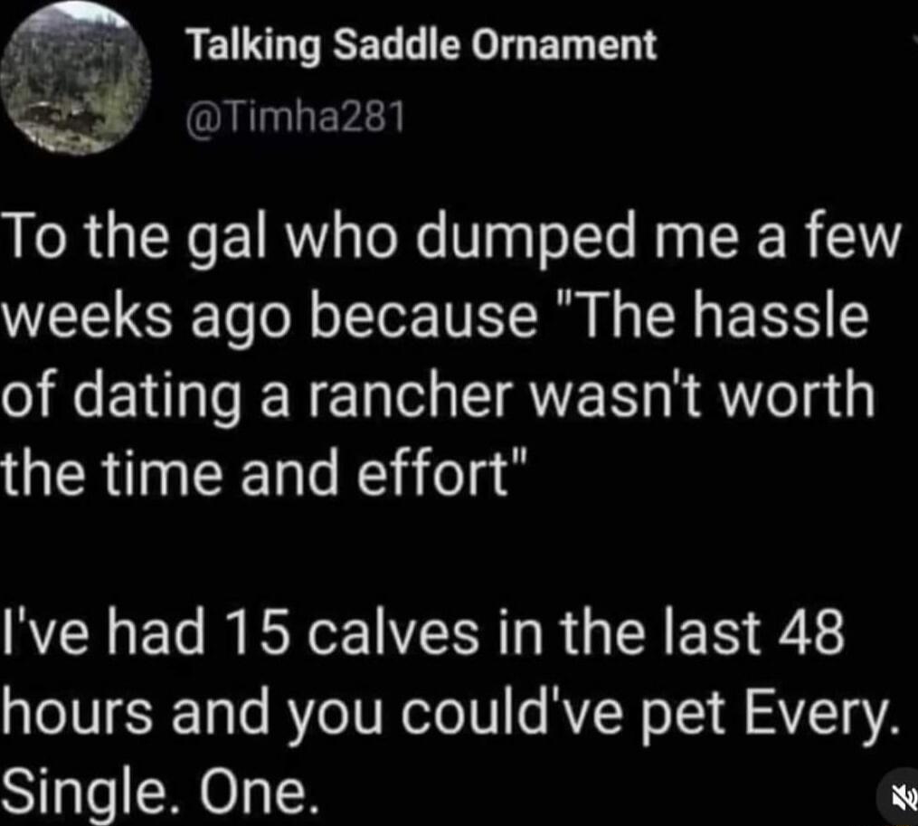 Talking Saddle Ornament Timha281 LR IR EIRW s o X VagTolle Ns SRR 10 weeks ago because The hassle of dating a rancher wasnt worth GQERINEEN R Ive had 15 calves in the last 48 hours and you couldve pet Every Single One