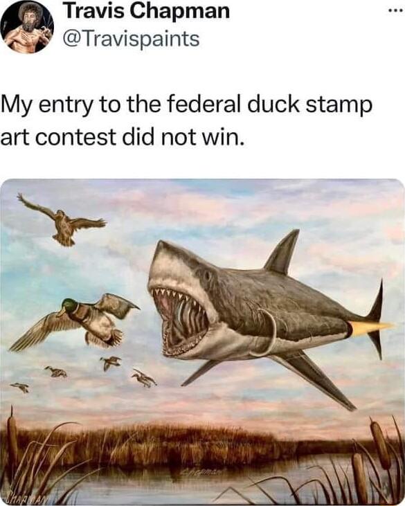 a Travis Chapman Travispaints My entry to the federal duck stamp art contest did not win