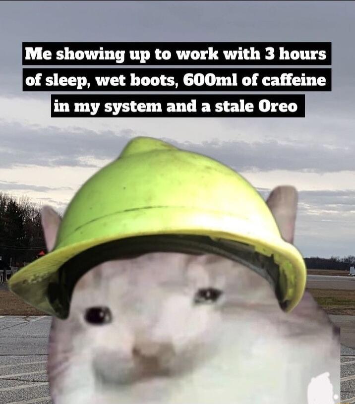 Me showing up to work with 3 hours of sleep wet hoots 600ml of caffeine in my system and a stale Oreo