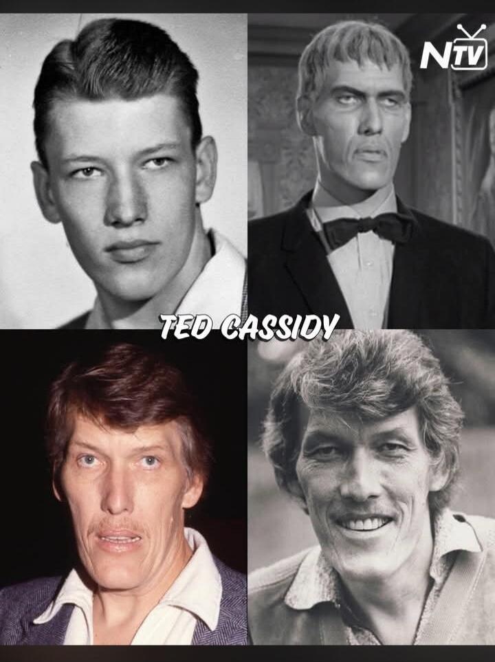 TED CASSIDY NTV