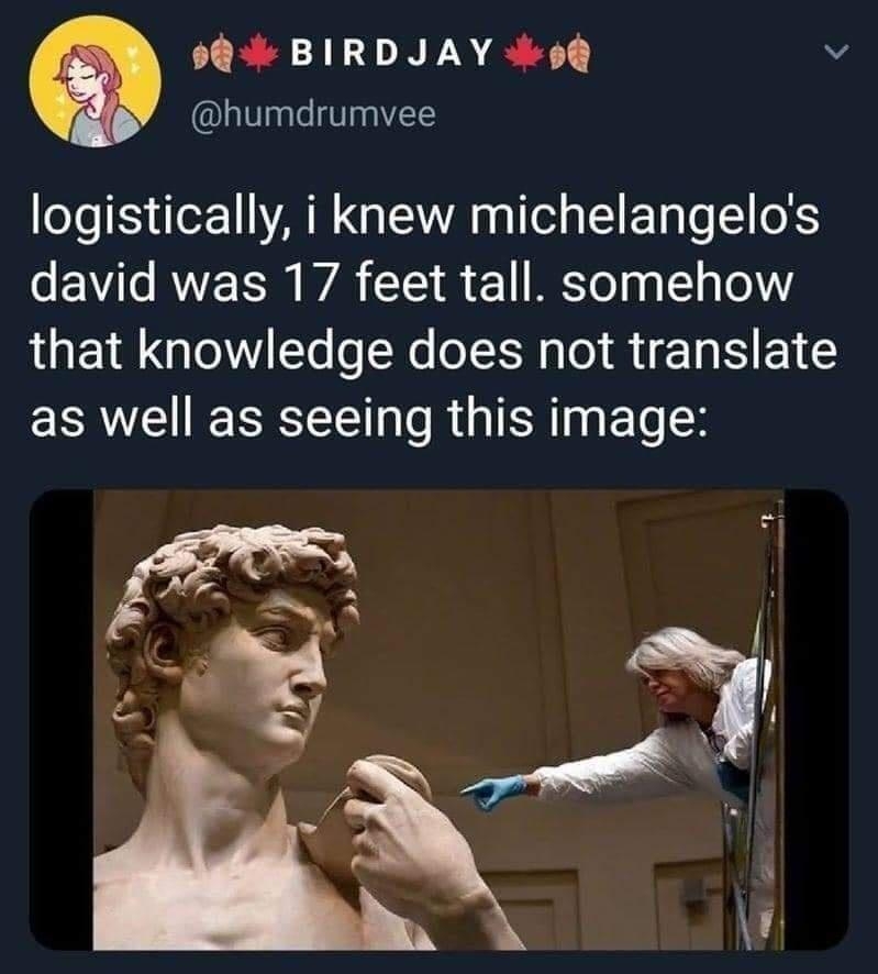9 BIRDJAY 98 v humdrumvee logistically i knew michelangelos david was 17 feet tall somehow that knowledge does not translate as well as seeing this image L Z 3 VR TTe e R T TR s o