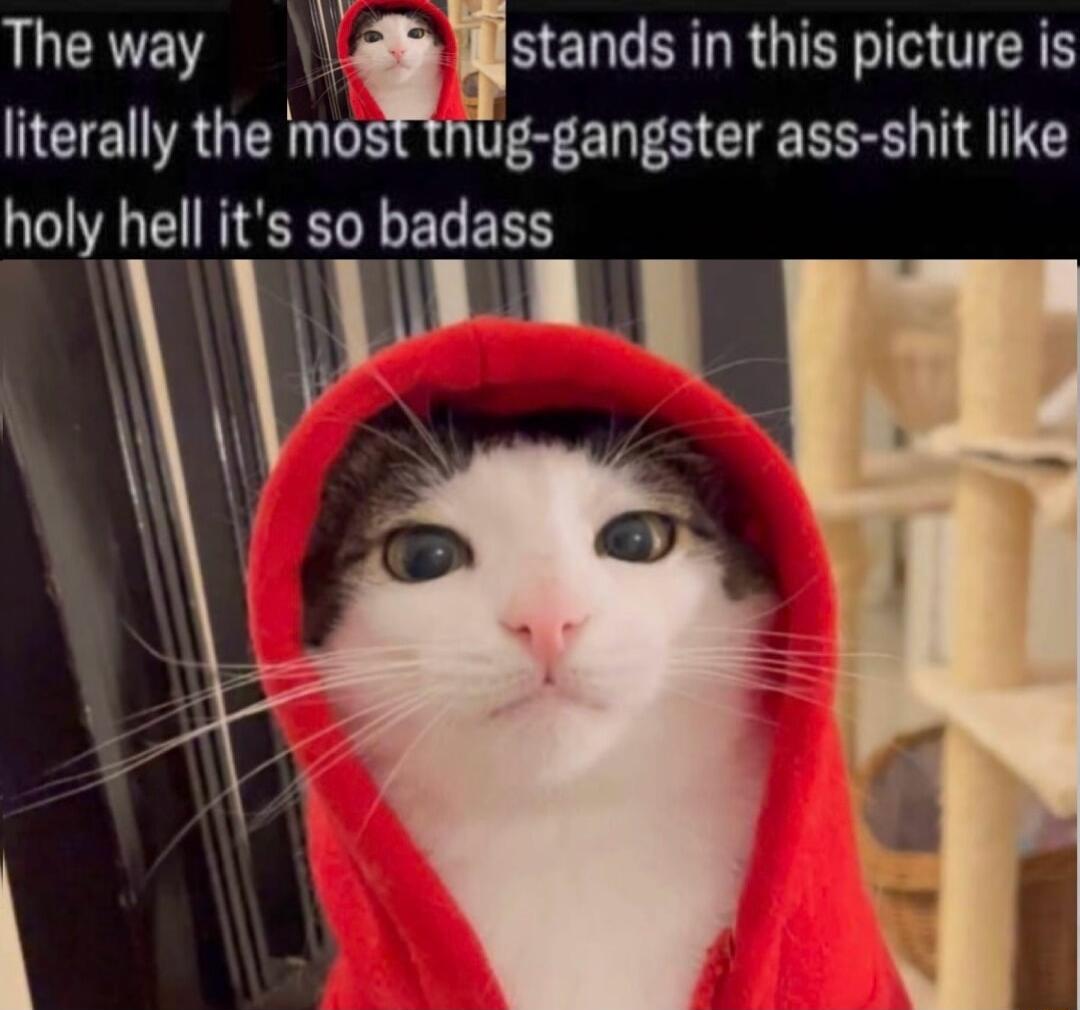 LILCRTEY 1 SENE RGNS literally the most thug gangster ass shit like holy hell its so badass ll a