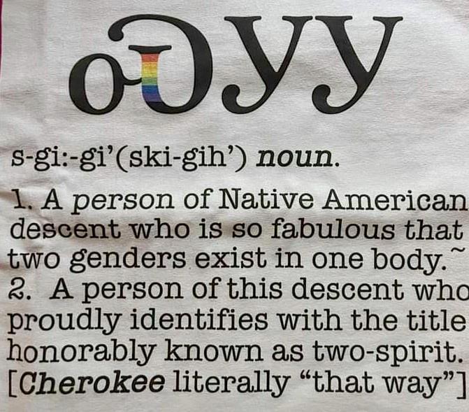 oYY 5 gi giski gih noun 1 A person of Native American deseent who isso fabulous that two genders exist in one body 8 A person of this descent who proudly identifies with the title honorably known as two spirit Cherokee literally that way