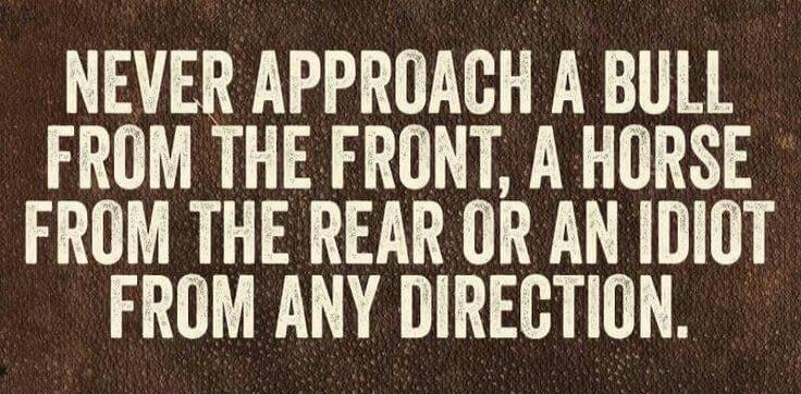 NEVER APPROACH A BULL FROM THE FRONT, A HORSE FROM THE REAR OR AN IDIOT FROM ANY DIRECTION.
