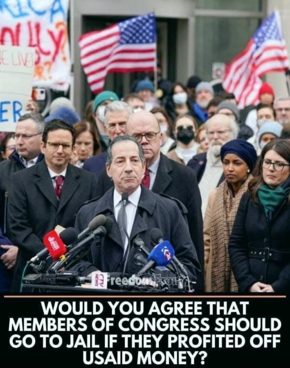 WOULD YOU AGREE THAT MEMBERS OF CONGRESS SHOULD GO TO JAIL IF THEY PROFITED OFF USAID MONEY?