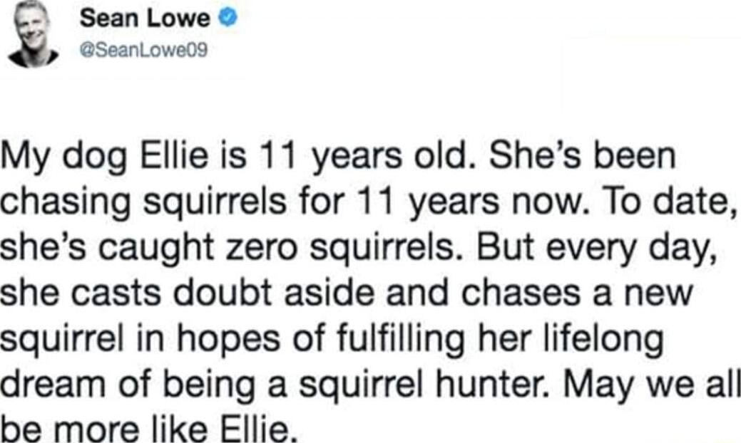 Sean Lowe o SeanLowe0s My dog Ellie is 11 years old Shes been chasing squirrels for 11 years now To date shes caught zero squirrels But every day she casts doubt aside and chases a new squirrel in hopes of fulfilling her lifelong dream of being a squirrel hunter May we all be more like Ellie