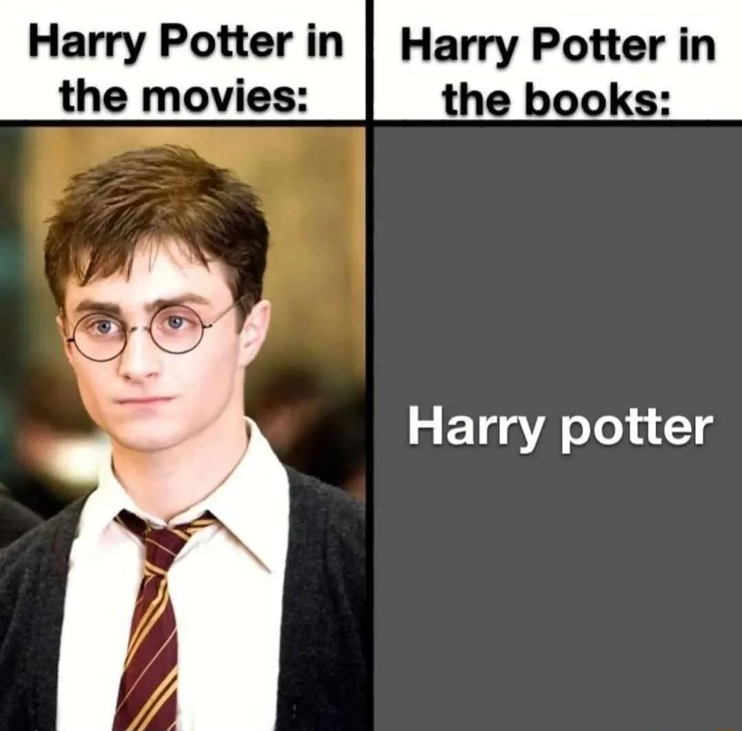Harry Potter in Harry Potter in the movies the books Harry potter