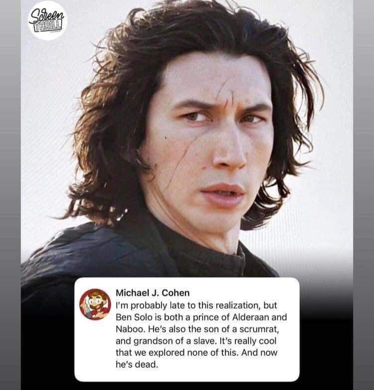 Michael J Cohen m probably late to this realization but Ben Solo i both a prince of Alderaan and Naboo Hes also the son of a scrumrat and grandson of a slave really cool that we explored none o this And now hes dead