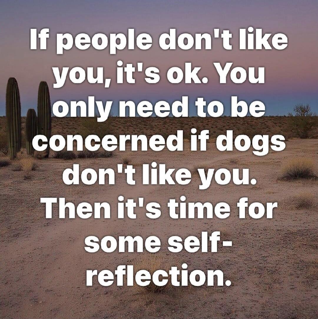 If people don't like you, it's ok. You only need to be concerned if dogs don't like you. Then it's time for some self-reflection.