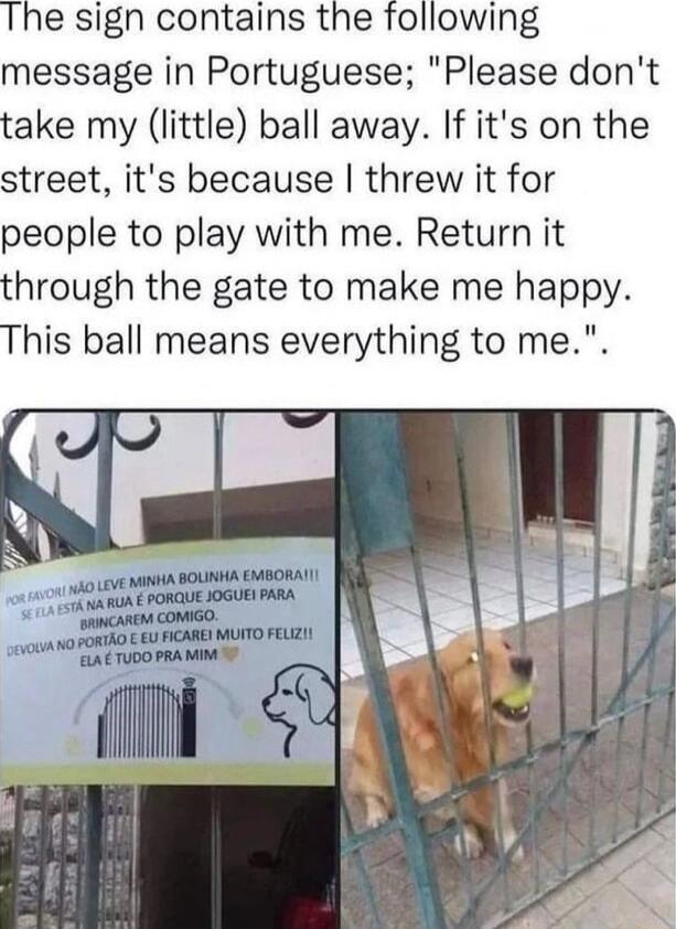 The sign contains the following message in Portuguese Please dont take my little ball away If its on the street its because threw it for people to play with me Return it through the gate to make me happy This ball means everything to me