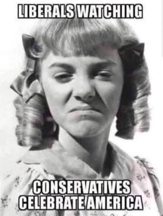 LIBERALS WATCHING CONSERVATIVES CELEBRATE AMERICA