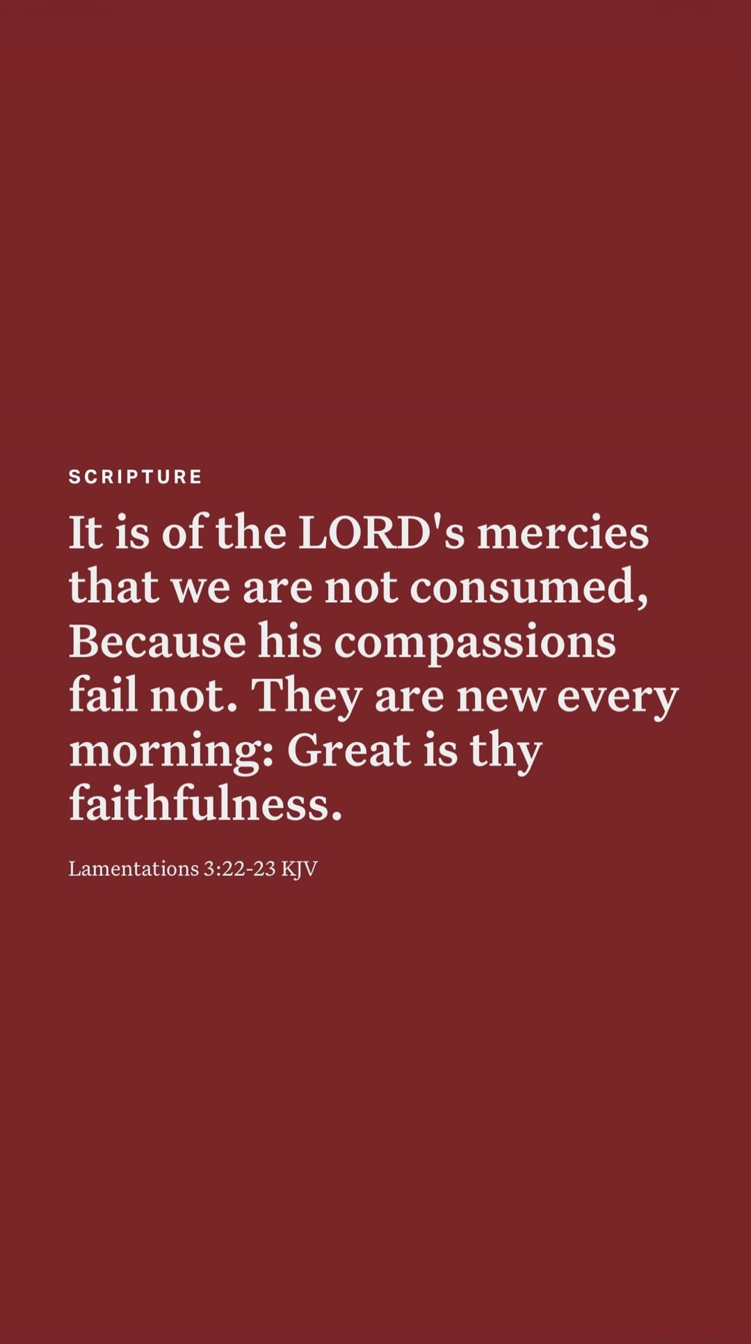 SCRIPTURE It is of the LORD's mercies that we are not consumed, Because his compassions fail not. They are new every morning: Great is thy faithfulness. Lamentations 3:22-23 KJV