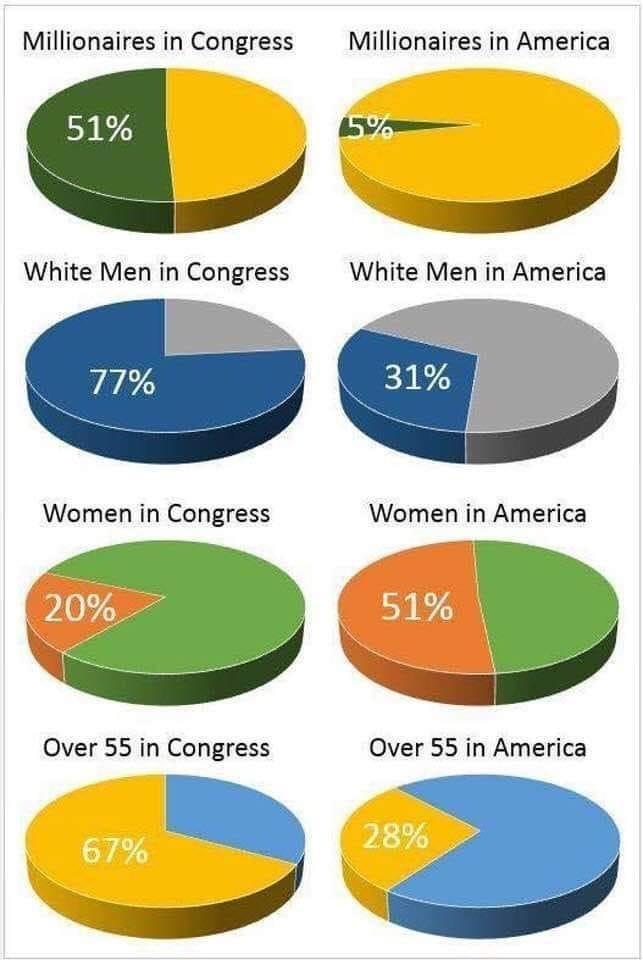 Millionaires in Congress Millionaires in America By White Men in Congress White Men in America Over 55 in Congress Over 55 in America