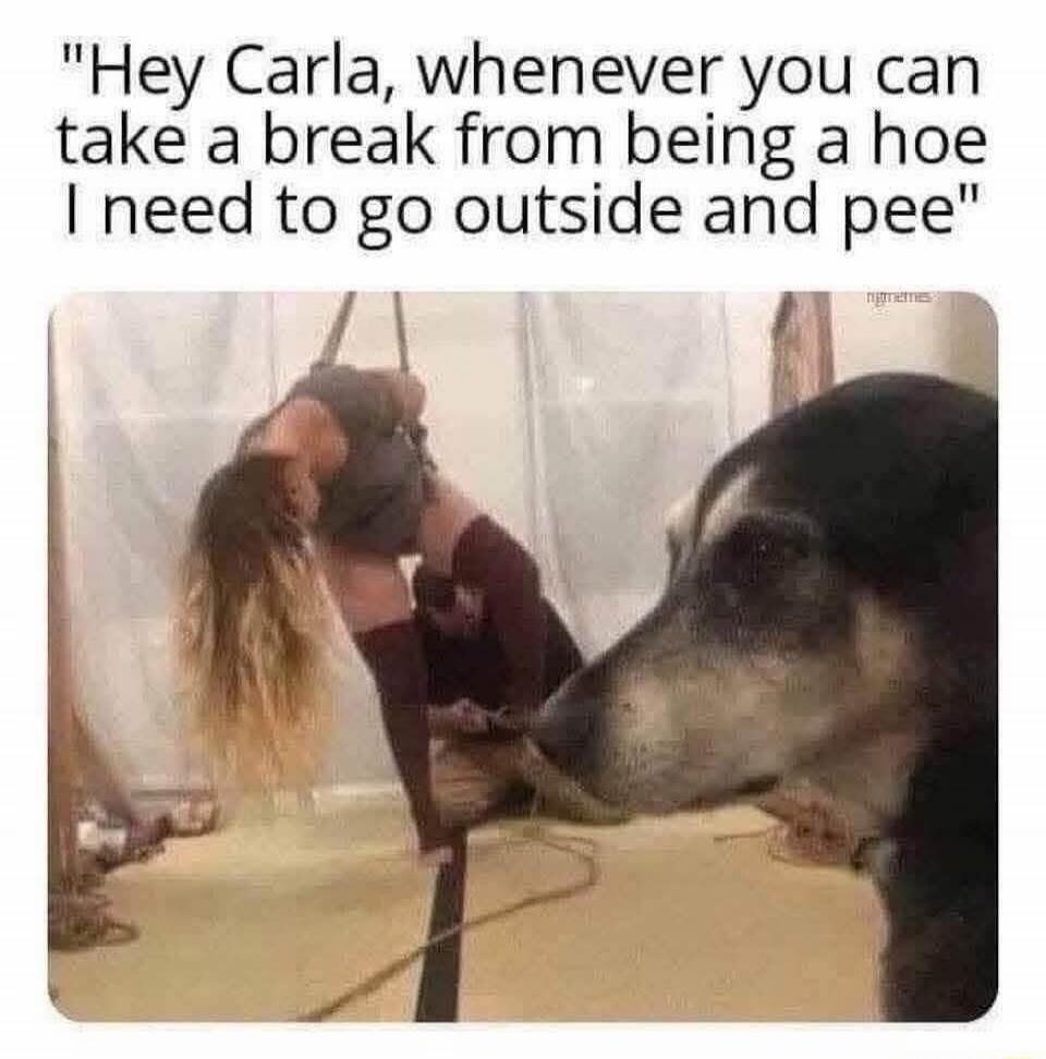 Hey Carla, whenever you can take a break from being a hoe I need to go outside and pee