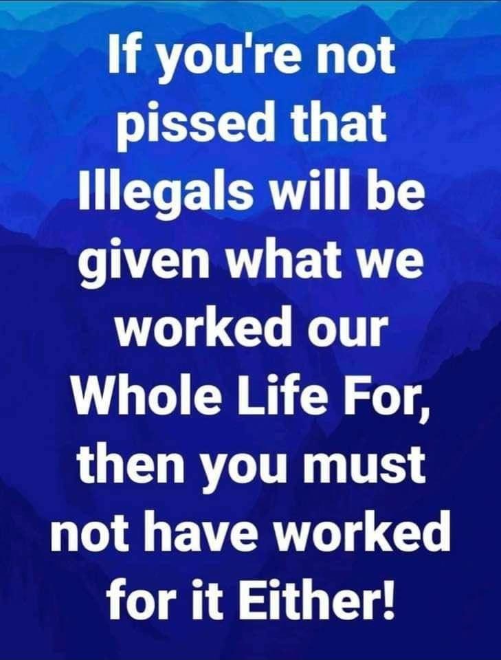 il A ol If youre not pissed that lllegals will be CVEOH R E LAV worked our Whole Life For LU RYTTR T not have worked 1 4 510 T